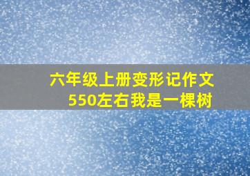 六年级上册变形记作文550左右我是一棵树