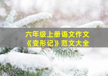 六年级上册语文作文《变形记》范文大全