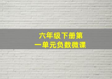 六年级下册第一单元负数微课