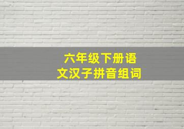 六年级下册语文汉子拼音组词