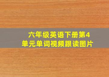 六年级英语下册第4单元单词视频跟读图片