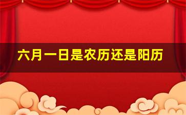 六月一日是农历还是阳历