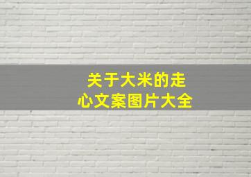 关于大米的走心文案图片大全