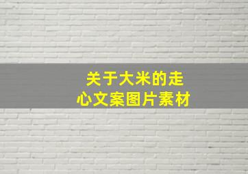 关于大米的走心文案图片素材