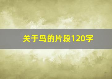 关于鸟的片段120字