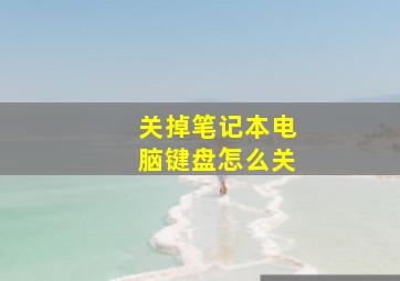 关掉笔记本电脑键盘怎么关