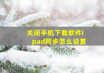 关闭手机下载软件ipad同步怎么设置