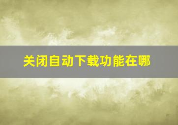 关闭自动下载功能在哪