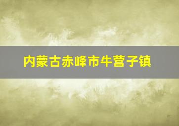 内蒙古赤峰市牛营子镇