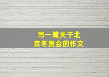 写一篇关于北京冬奥会的作文