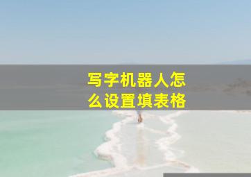 写字机器人怎么设置填表格