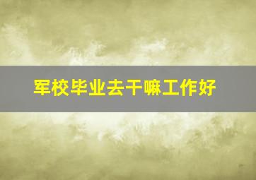 军校毕业去干嘛工作好