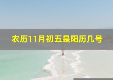 农历11月初五是阳历几号