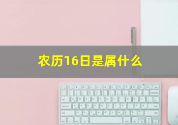 农历16日是属什么