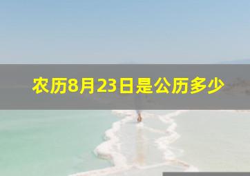 农历8月23日是公历多少