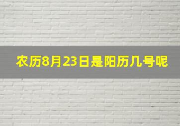 农历8月23日是阳历几号呢