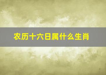 农历十六日属什么生肖