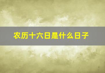 农历十六日是什么日子