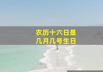 农历十六日是几月几号生日