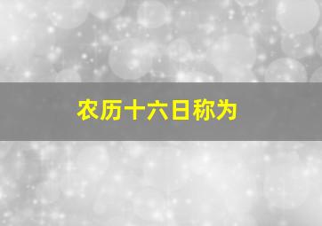 农历十六日称为