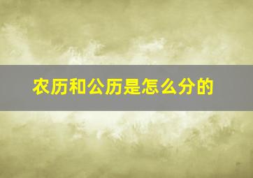 农历和公历是怎么分的