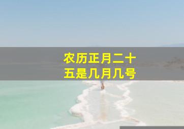 农历正月二十五是几月几号