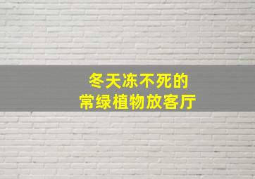 冬天冻不死的常绿植物放客厅