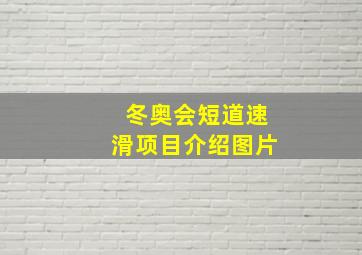 冬奥会短道速滑项目介绍图片