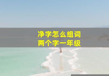 净字怎么组词两个字一年级