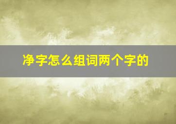 净字怎么组词两个字的