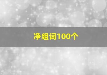 净组词100个