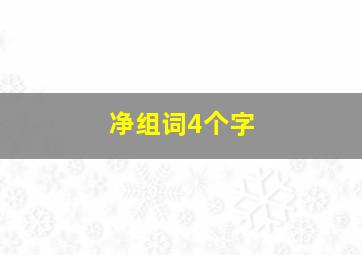 净组词4个字