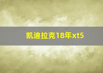 凯迪拉克18年xt5