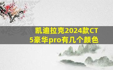 凯迪拉克2024款CT5豪华pro有几个颜色