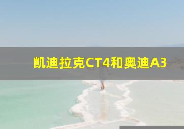 凯迪拉克CT4和奥迪A3