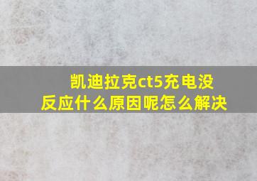 凯迪拉克ct5充电没反应什么原因呢怎么解决