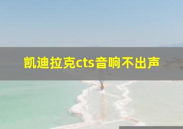 凯迪拉克cts音响不出声