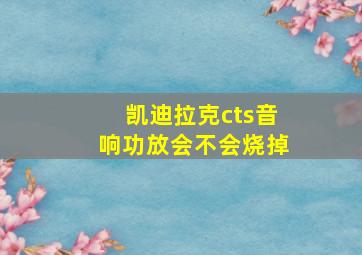 凯迪拉克cts音响功放会不会烧掉