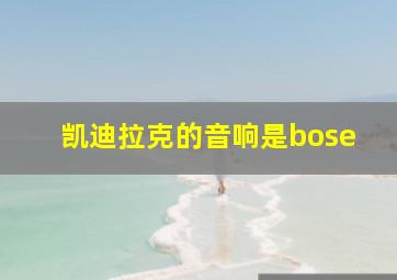 凯迪拉克的音响是bose