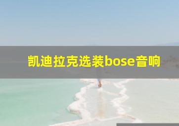 凯迪拉克选装bose音响