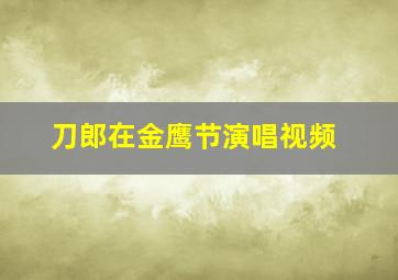 刀郎在金鹰节演唱视频