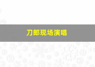 刀郎现场演唱