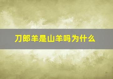 刀郎羊是山羊吗为什么