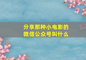 分享那种小电影的微信公众号叫什么