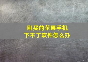 刚买的苹果手机下不了软件怎么办