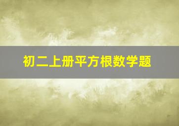 初二上册平方根数学题