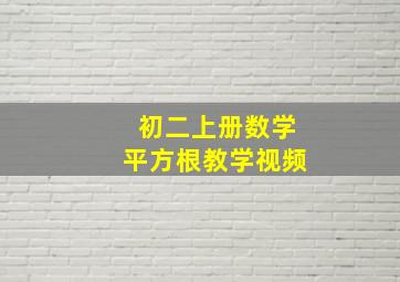 初二上册数学平方根教学视频