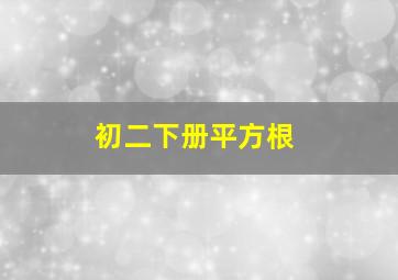 初二下册平方根