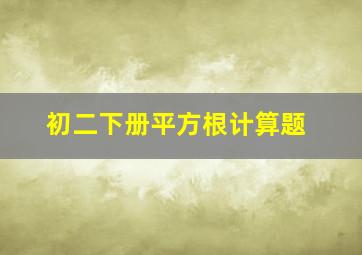 初二下册平方根计算题