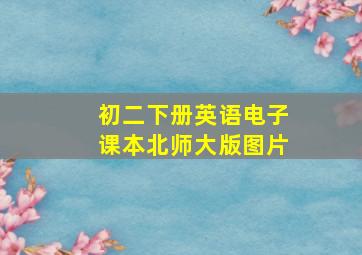 初二下册英语电子课本北师大版图片